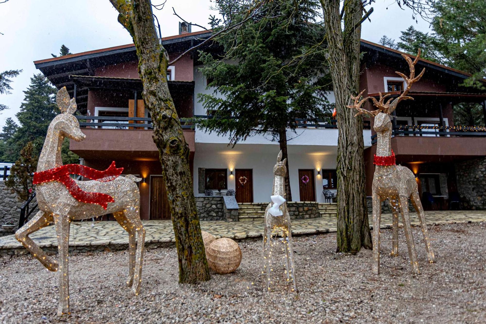 Mz Reindeer Hotel Kalívia Buitenkant foto