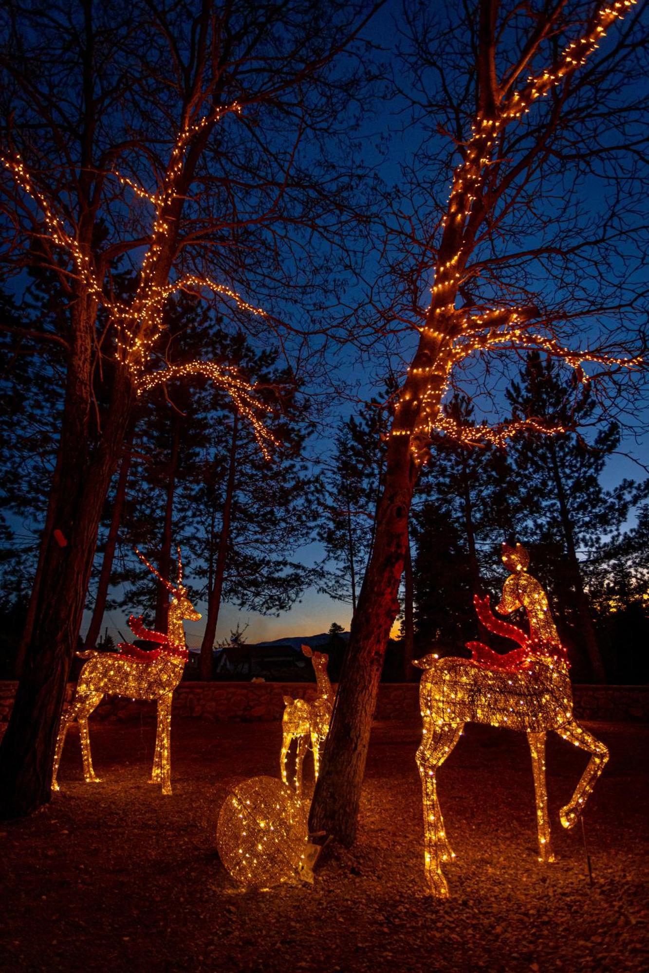 Mz Reindeer Hotel Kalívia Buitenkant foto